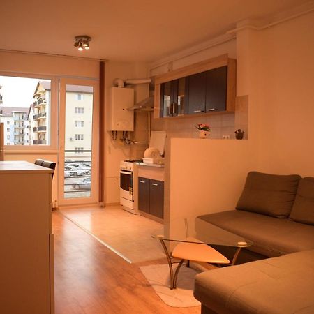 Апартаменты Apartament Alexandru Сибиу Экстерьер фото