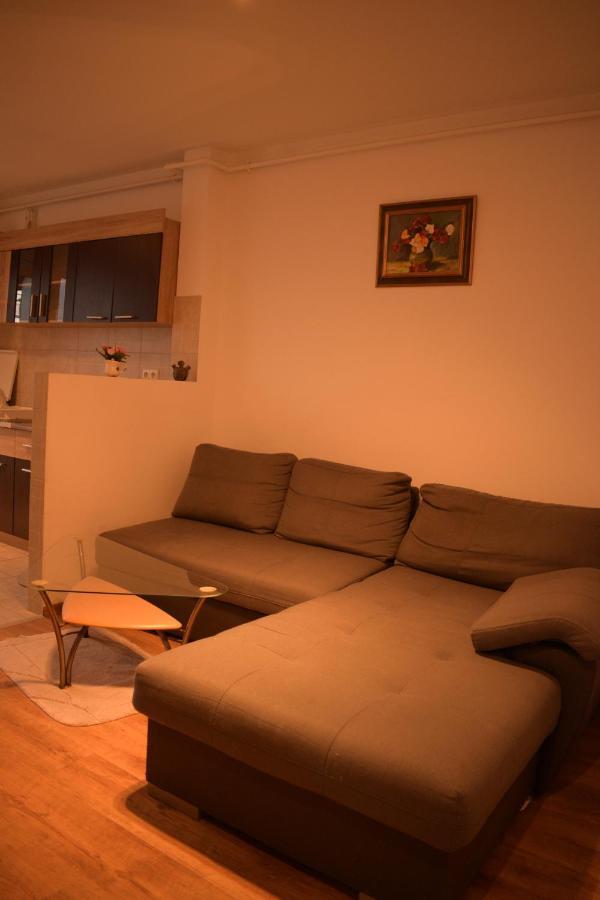 Апартаменты Apartament Alexandru Сибиу Экстерьер фото